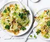 Kohlsalat mit Austernpilzen