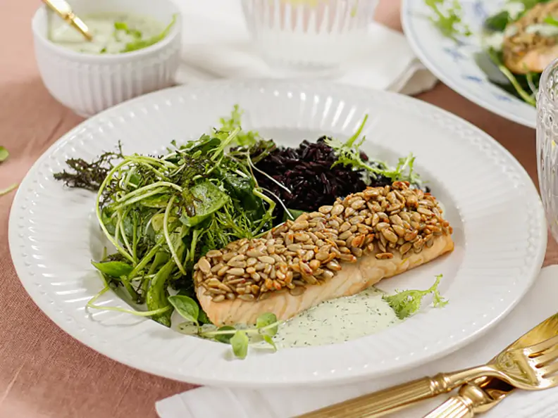 Lachs mit Sonnenblumenkern-Senf-Kruste, Kräutersauce und schwarzem Reis
