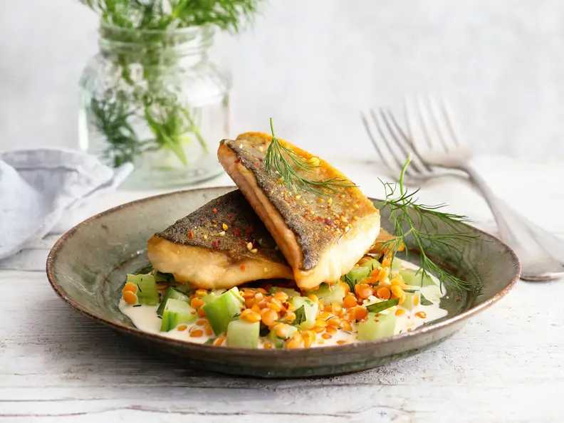 Saibling auf Linsen-Gurken-Gemüse mit Dill