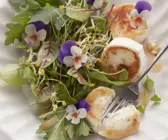 Sommerlicher Blattsalat mit Ziegenkäse und Himbeerdressing