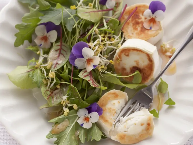 Sommerlicher Blattsalat mit Ziegenkäse und Himbeerdressing