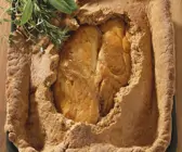 Putenbrust im Brotteig