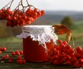 Vogelbeermarmelade