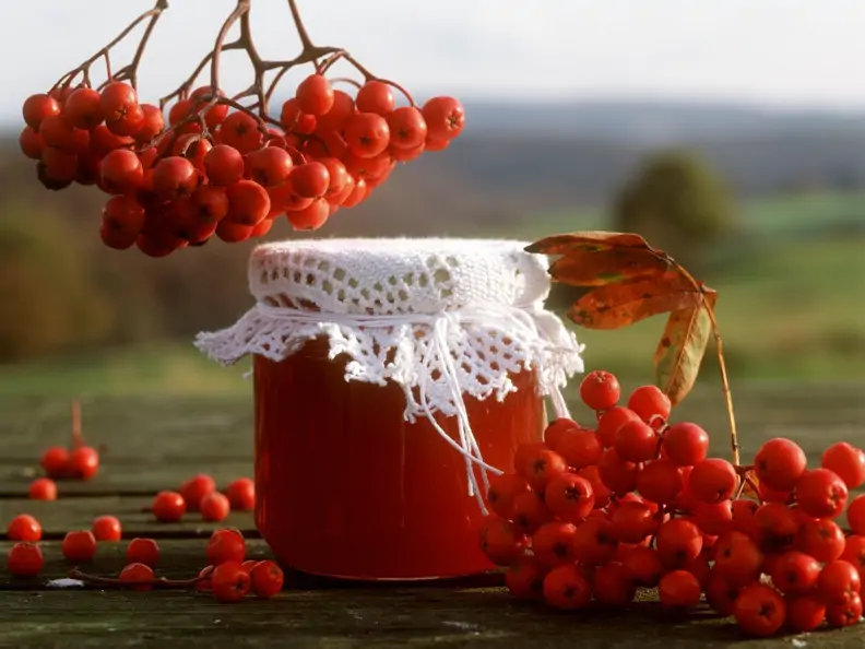 Vogelbeermarmelade
