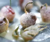 Kirschen und Salbei im Backteig mit Vanillesoße