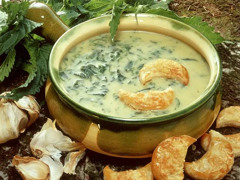Cremige Brennnesselsuppe