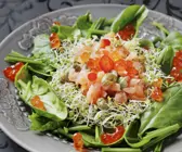 Lachstatar mit Sprossen und jungem Spinat