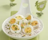 Eier in Mayonnaise mit Meerrettich, Rübchen und Sprossen