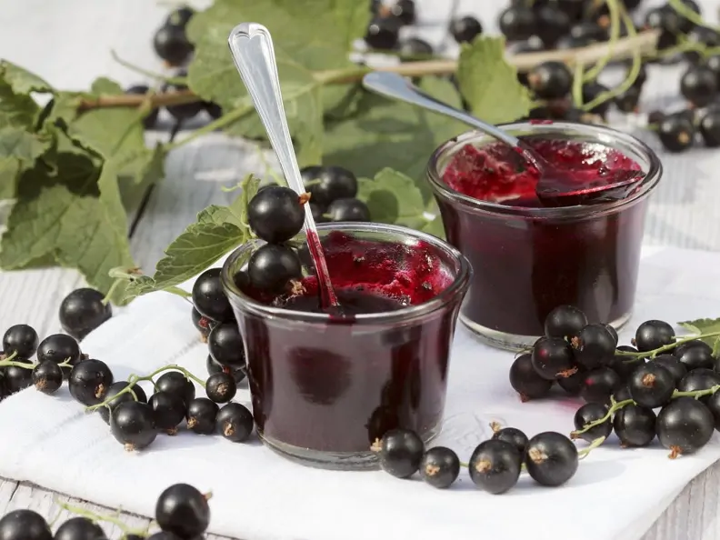 Schwarze Johannisbeerkonfitüre in Gläsern