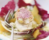 Rotbarbenfilet auf Radicchiosalat mit Fenchel
