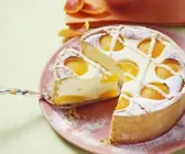 Klassischer Aprikosen-Quark-Kuchen auf einem rosa Teller