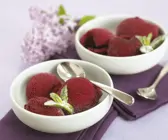 Johannisbeersorbet