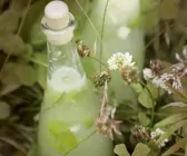 Zitronenlimonade mit Minze