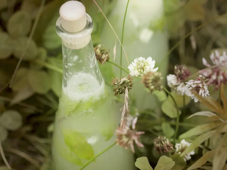 Zitronenlimonade mit Minze