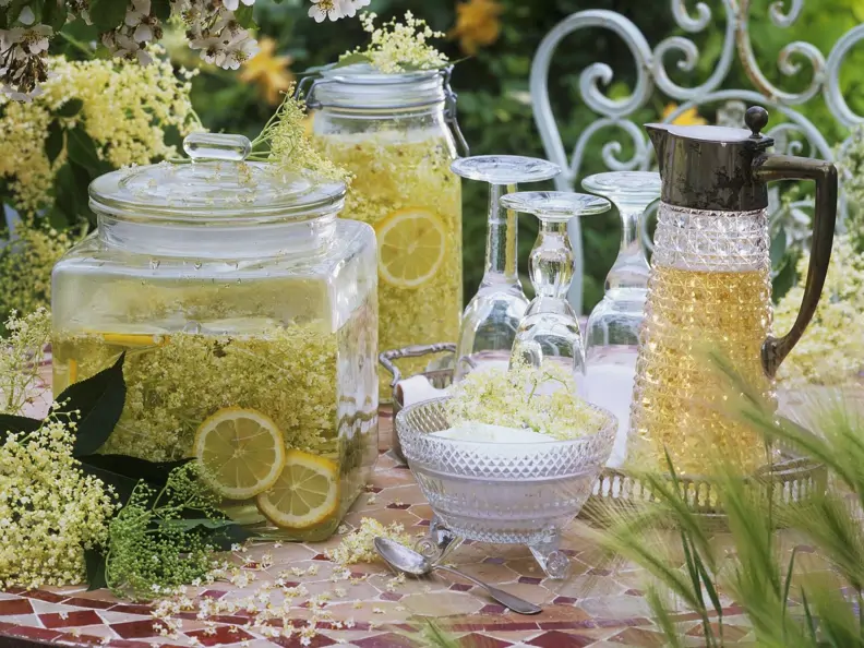 Holunderblüten-Limonade