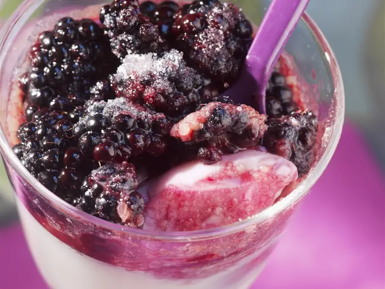 Panna cotta mit Brombeersoße