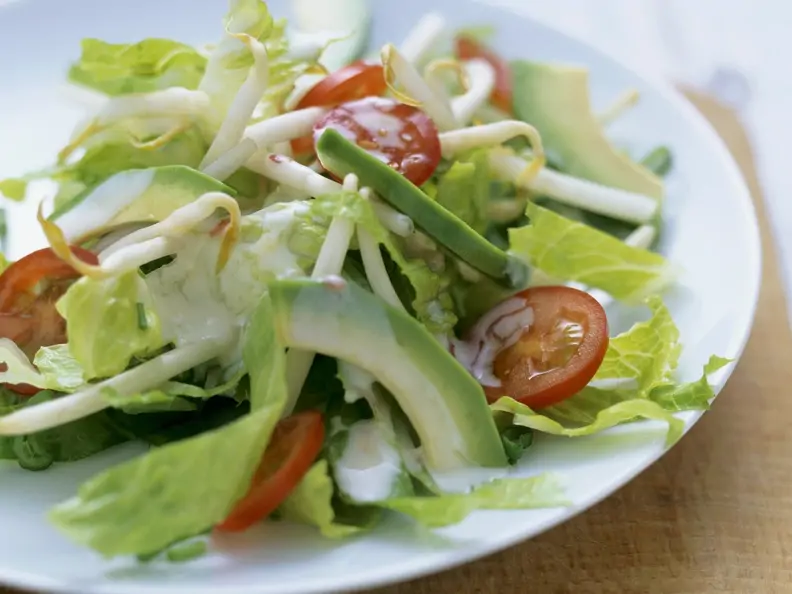 Romanasalat mit Avocado und Sprossen
