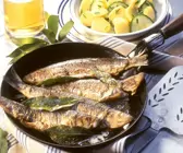 Wacholder-Bratheringe mit Kartoffel-Gurken-Salat