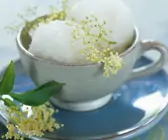 Holunderblütensorbet