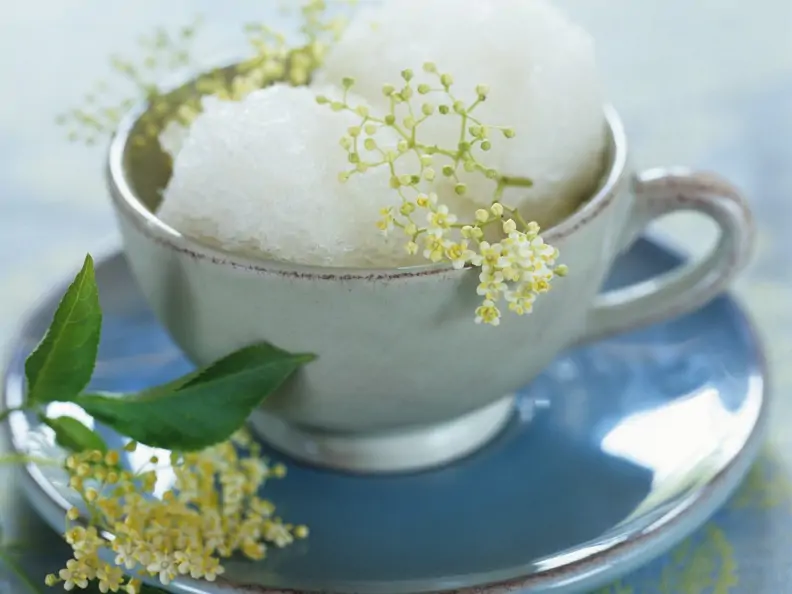 Holunderblütensorbet