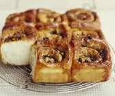 Blaubeerschnecken