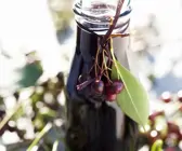 Apfelbeerensirup (Aroniasirup)