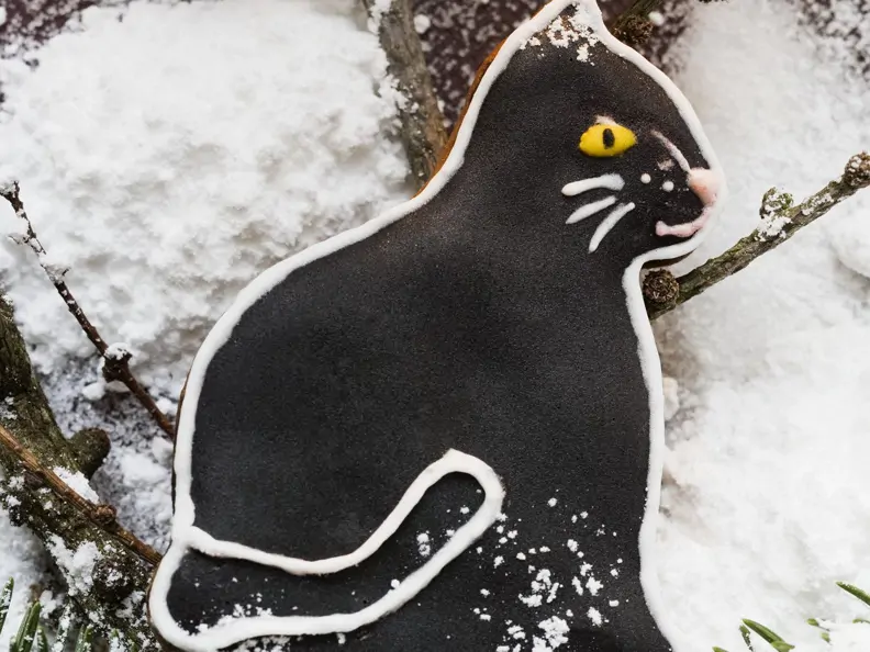 Katzen-Plätzchen