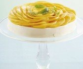 Mango-Frischkäsetorte