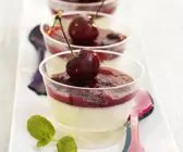 Panna cotta mit Fruchtsoße