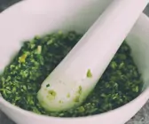 Postelein-Pesto