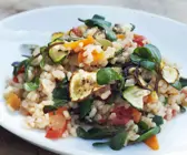 Naturreisrisotto mit Portulak, Zucchini und Tomaten