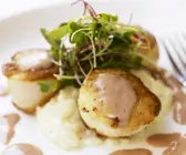 Jakobsmuschel mit getrüffeltem Risotto