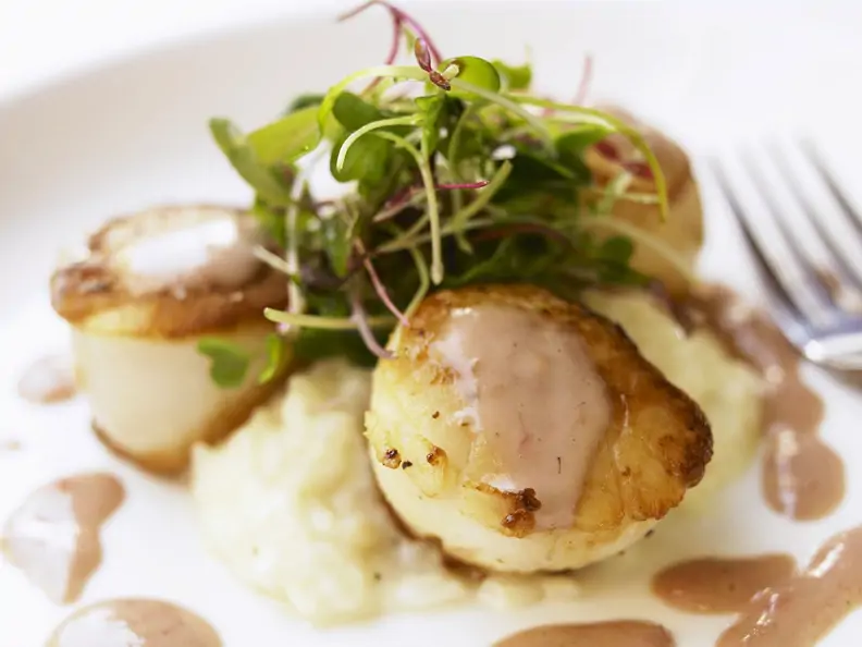 Jakobsmuschel mit getrüffeltem Risotto
