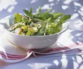 Blattsalat mit Radieschen und Kräutern
