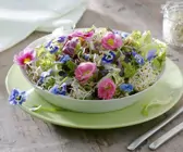 Blattsalat mit Sprossen und essbaren Blüten