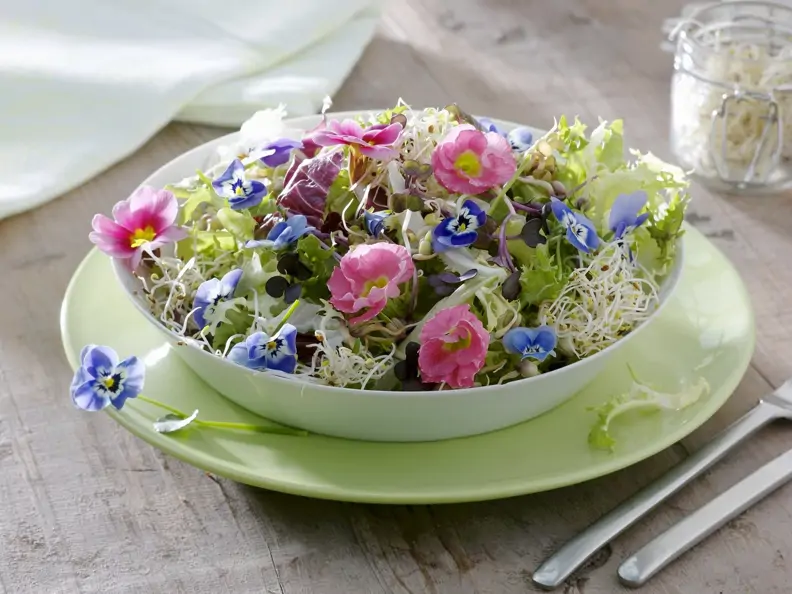 Blattsalat mit Sprossen und essbaren Blüten