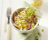 Gemüse-Sprossen-Salat