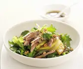 Ente mit japanischer Birne (Nashi) und grünem Salat
