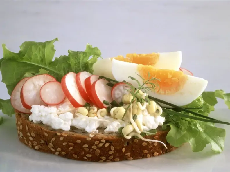 Scheibe Vollkornbrot mit Hüttenkäse, Radieschen, Sprossen und Ei