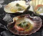 Gegrillte Jakobsmuscheln