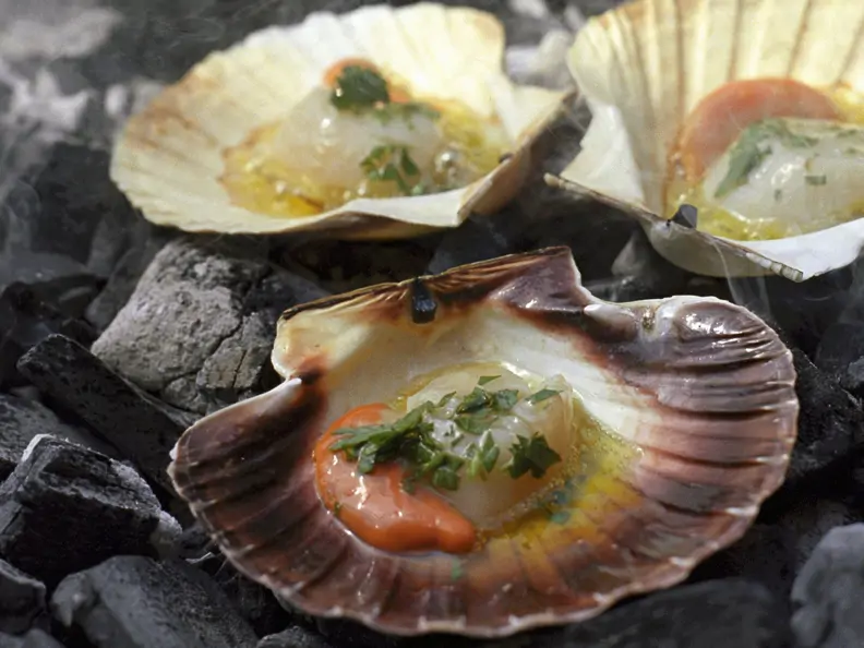 Gegrillte Jakobsmuscheln