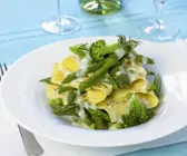 Lasagneblätter mit Frühlingsgemüse und holländischer Soße