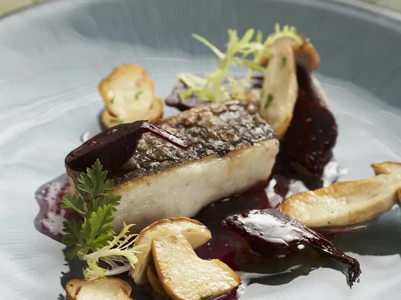 Waller mit Steinpilzen und Rote-Bete-Soße