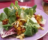 Blattsalate mit Aprikosen & rotem Pesto