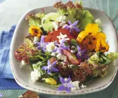 Salat mit essbaren Blüten, Schafskäse und Knoblauch-Brot