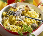 Risotto Milanese mit Venusmuscheln