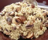 Risotto mit Pilzen