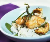 Risotto mit gebratenem Steinbeißer und Estragon