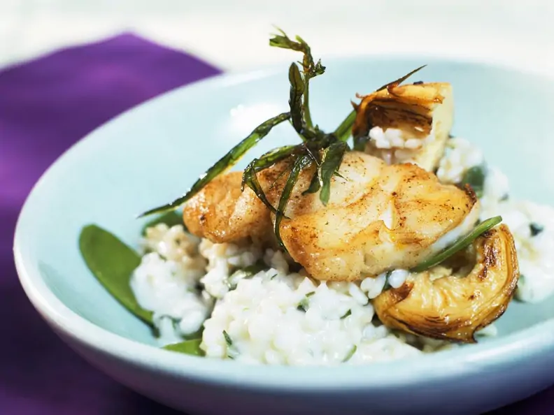 Risotto mit gebratenem Steinbeißer und Estragon