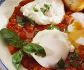 Pochierte Eier mit Tomatensauce